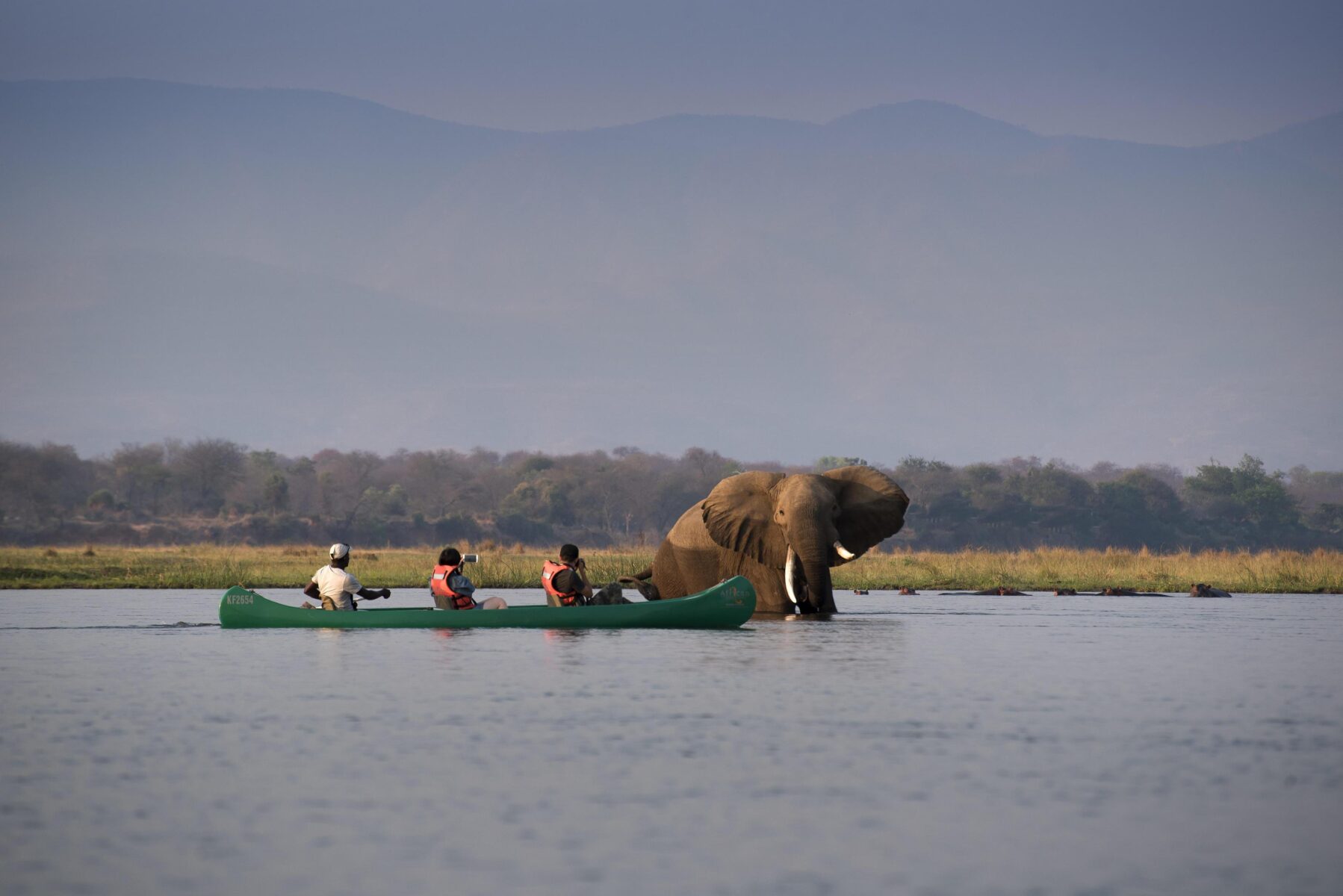 Bonamy and Ele-Collection:  Tackling the problem of plastic in Southern Africa